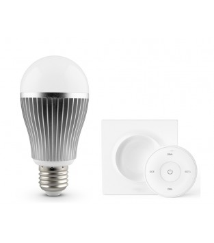 Ampoule LED - Blanc Chaud/Froid