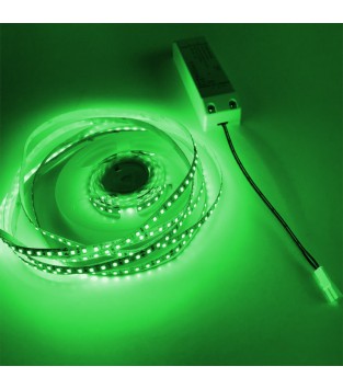Ruban LED Vert 2