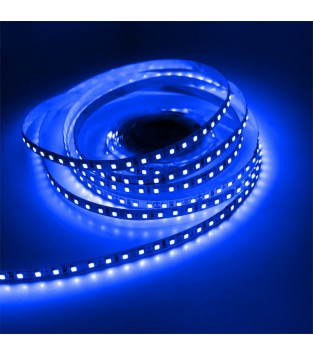 Ruban LED Bleu