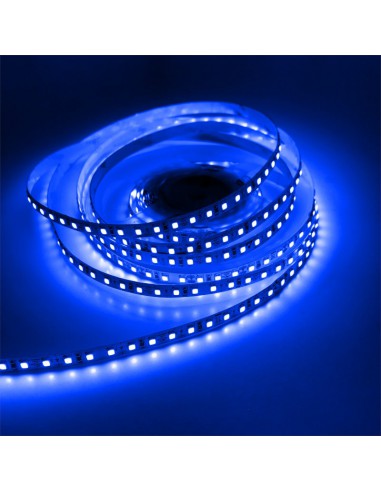 Ruban LED Bleu