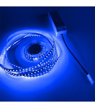 Ruban LED Bleu 2